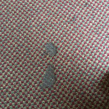 American Inn & Suites - Disgusting carpet - Hotels Near Me - Dewitt, Michigan