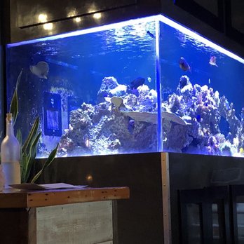 Lechon - Fish Tank - Tapas Bars Near Me - Portland, Oregon