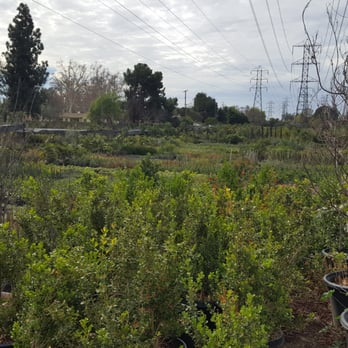 Horizon Nursery - Nurseries & Gardening Near Me - Santa Fe Springs, California