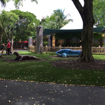 Zoo Miami - Children's play area with plenty of shade!!! - Zoos Near Me - Miami, Florida Zoo Miami - Children's play area with plenty of shade!!! - Zoos Near Me - Miami, Florida