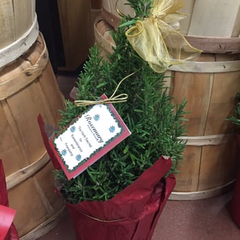 Trader Joe's - Grocery Near Me - Clovis, California
