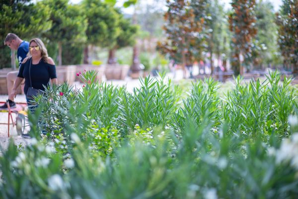MOON VALLEY NURSERIES - Updated May 2025 - 255 Photos & 333 Reviews ...