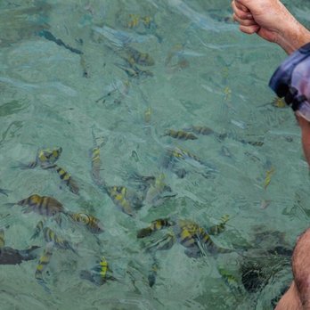 Quantum Travel Services - Playa Larga - Travel Services Near Me - Irvine, California Quantum Travel Services - Playa Larga - Travel Services Near Me - Irvine, California