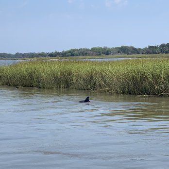 Capt. Mike's Dolphin Adventure Tour - Tours Near Me - Tybee Island, Georgia Capt. Mike's Dolphin Adventure Tour - Tours Near Me - Tybee Island, Georgia