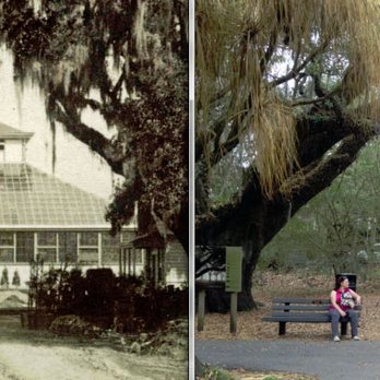 Audubon Park - Former site of the 1884-85 exposition's Horticultural Hall in Audubon Park - Parks Near Me - New Orleans, Louisiana