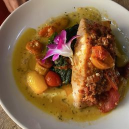 Salmon Salmon