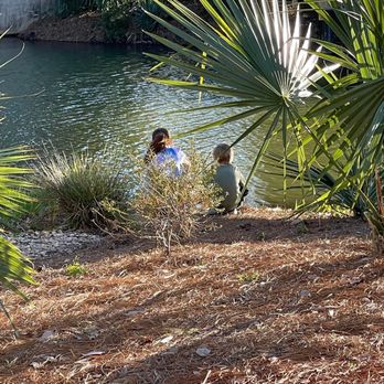 City Park - Parks Near Me - New Orleans, Louisiana City Park - Parks Near Me - New Orleans, Louisiana