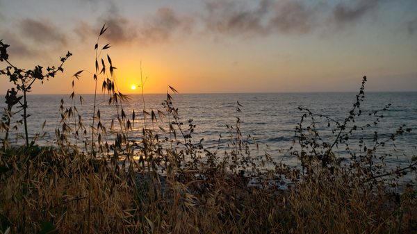 Malaga Cove by null