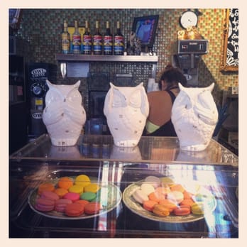 The Night Owl - Guarding the macaroons from evil. - Coffee & Tea Near Me - Fullerton, California