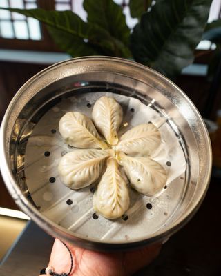 Dumpling District by null