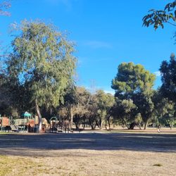 Orcas Park