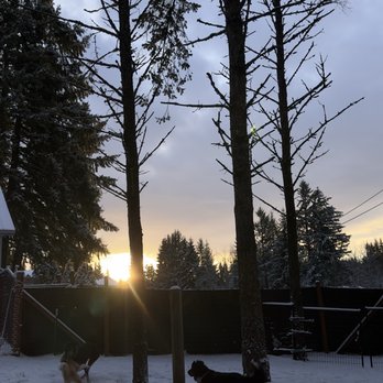 Reynolds Dog Resort - Sun setting on another fun day at Reynolds Dog Resort! - Pet Groomers Near Me - Tualatin, Oregon Reynolds Dog Resort - Sun setting on another fun day at Reynolds Dog Resort! - Pet Groomers Near Me - Tualatin, Oregon