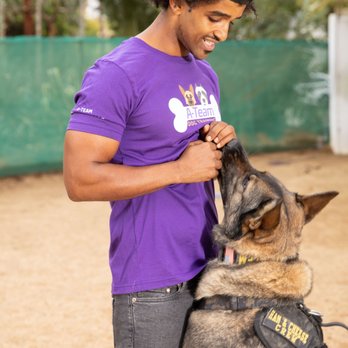 A-Team Dog Training - Pet Training Near Me