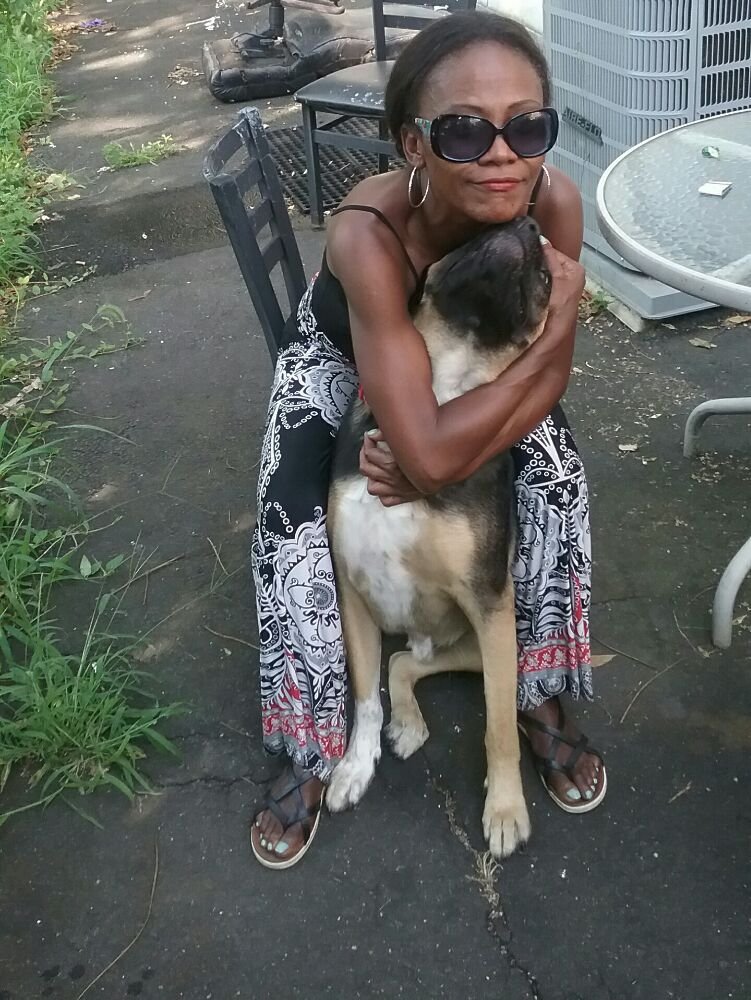 THE FURRY INN Updated October 2024 12 Photos 3486 F Airfield Ave