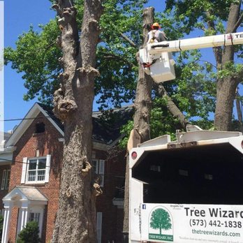 Tree Wizard - a man on a cherry picker working on a tree - Tree Services Near Me - Columbia, Missouri Tree Wizard - a man on a cherry picker working on a tree - Tree Services Near Me - Columbia, Missouri