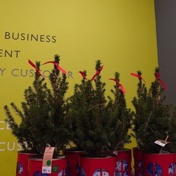 Waitrose - Have yourself a Waitrose Christmas! - Grocery Near Me - Kensington, XGL