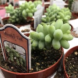 Gurnee Garden Center