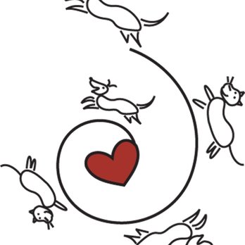 Birgit Hafermann Dog Training - Experienced dog training, in person, East Bay - Pet Training Near Me Birgit Hafermann Dog Training - Experienced dog training, in person, East Bay - Pet Training Near Me