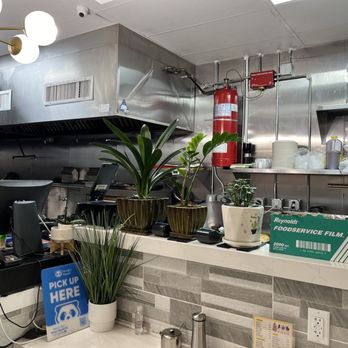 Old Luo Yang - Open kitchen - Chinese Near Me - Flushing, New York