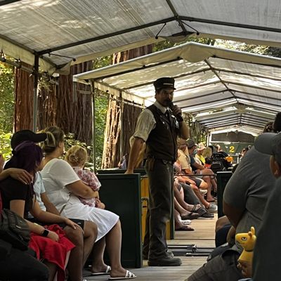 Roaring Camp by null