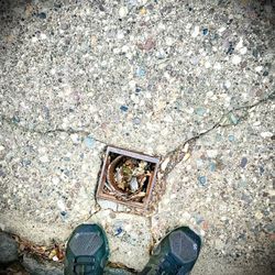 Splash Drain & Sewer