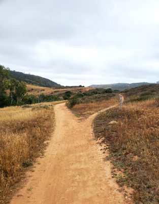 Los Penasquitos Canyon County Preserve by null