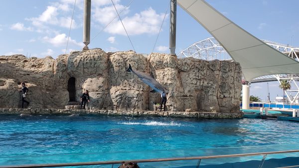 Texas State Aquarium by null