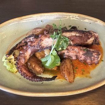 Mijo Marin - Octopus - Spanish Near Me - Corte Madera, California