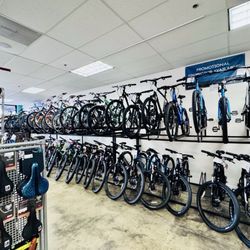 Omega Bicycle Shop - Look at all of the inventory...take your pick!