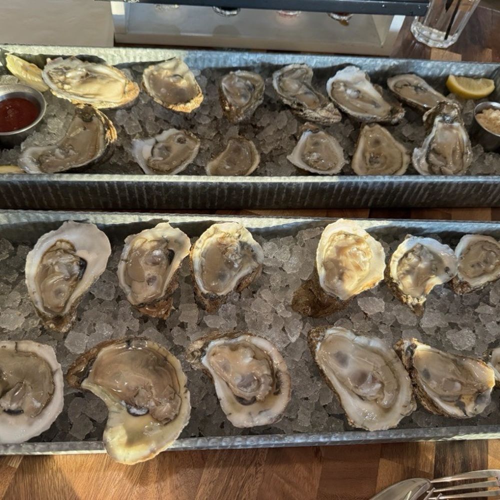 Runabout Brewing - Look at these delectable, tasty oysters! - Brewpubs Near Me - Orlando, Florida Runabout Brewing - Look at these delectable, tasty oysters! - Brewpubs Near Me - Orlando, Florida