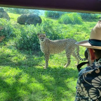 Honolulu Zoo - Zoos Near Me - Honolulu, Hawaii