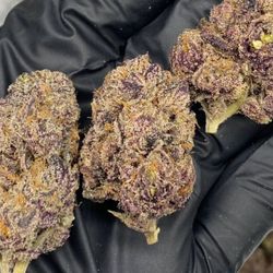 Sweet Mother of Grapes