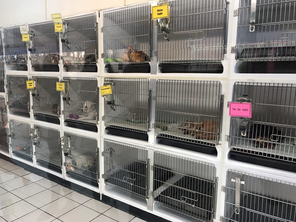 THE PET ZONE Updated September 2024 11 Photos & 33 Reviews 120