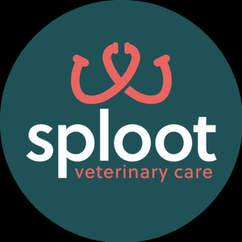 Sploot Veterinary Care - Arvada - Veterinarians Near Me - Arvada, Colorado Sploot Veterinary Care - Arvada - Veterinarians Near Me - Arvada, Colorado