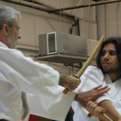 The Aikibudokan - Short sword vs. long sword is an important part of studying kenjutsu
