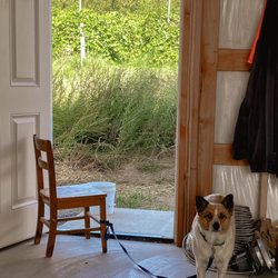 Stutzman Ranch - Charlie girl