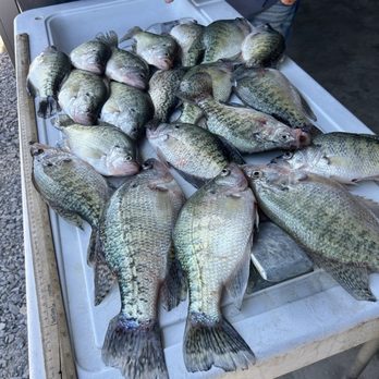 Lance Hughey Crappie Guide Service - Slabs - Fishing Near Me - Lowell, Arkansas Lance Hughey Crappie Guide Service - Slabs - Fishing Near Me - Lowell, Arkansas