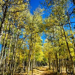 Lovell Gulch Trailhead