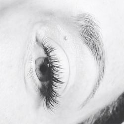 White Iris Studio - Super Clean, Natural, And Soft For This Everyday Beauty...