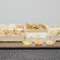 Hummus Club - Mediterranean Bowls & Bites - Bowl Wrap Pita Greek Sandwich Spicy Crispy Chicken Sandwich