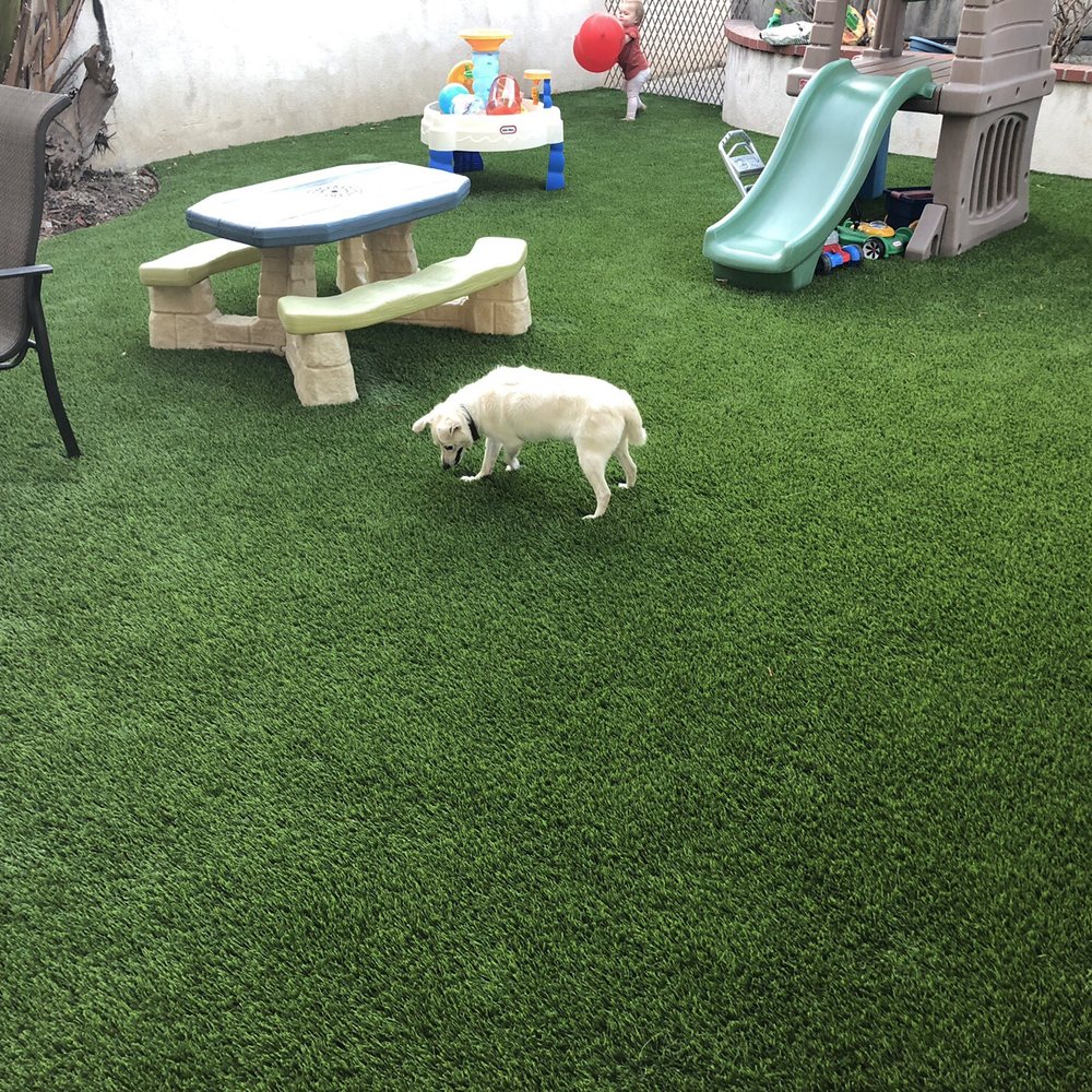 Greenfield Synthetic Grass - Artificial Turf Near Me Greenfield Synthetic Grass - Artificial Turf Near Me