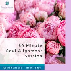 Sacred Silence - 60 Minute Soul Alignment Session - $85