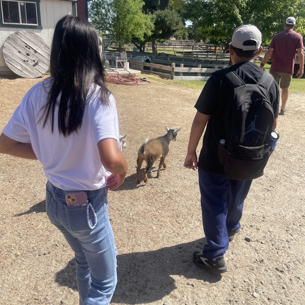 Fraser's Backyard Barnyard - Getting a tour - Attraction Farms Near Me - Hughson, California