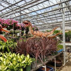 Highland Garden Center