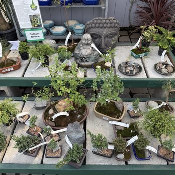 Flower World - Nurseries & Gardening Near Me - Snohomish, Washington