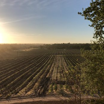 Calipaso Winery and Villa - The morning view from the Cabernet suite - Bed & Breakfast Near Me - Paso Robles, California