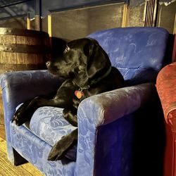 Black Hole Bar - Always  welcome