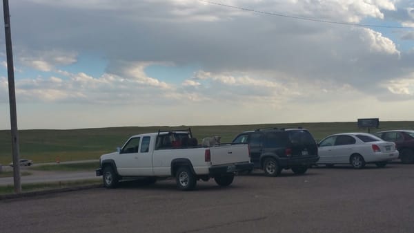 Antelope Truck Stop Pronghorn by null