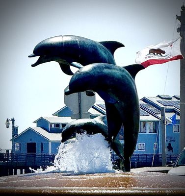 Stearns Wharf by null