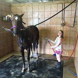 Wild Winds Ranch